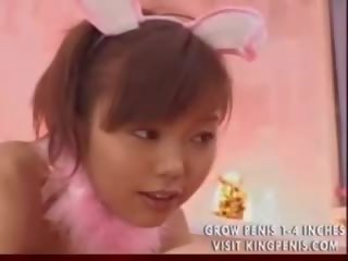 Japānieši meitenes zaķis masāža